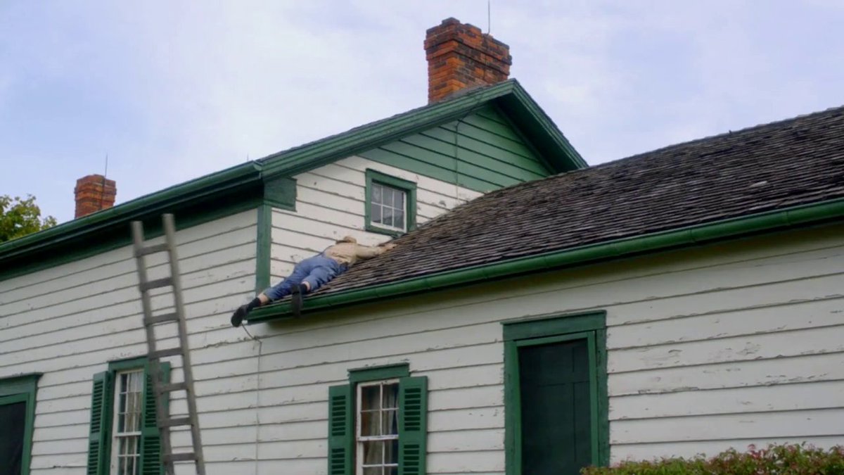 -Matthew Cuthbert: the old man who thinks it's a good idea to go in the roof to fix a little hole. He talks A LOT MORE in this movie.