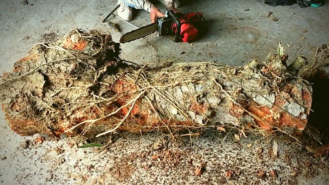 woodworkingzon1's tweet photo. #Woodturning // The Art Of #Lathe Working With #Giant #Log
https://t.co/2HR7NgSWfJ https://t.co/GHoqJwuLiN