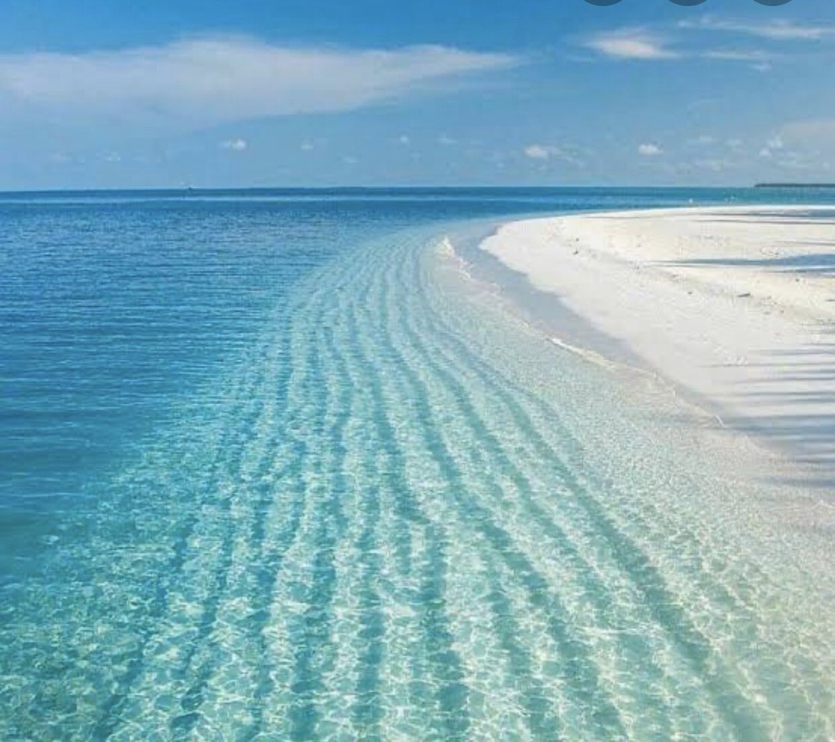 İşte böyle bakmaya doyamadığımız ve üzerine titreyerek korumamız gerekenlerin; doğanın ve çocukların; aynı gün talan edilmek istenmesi tesadüf mü? Ne #Salda ya, ne de çocuklara dokundurmayacağız. #ÇocukİstismarınınAffıOlmaz O İnfazYasası karşısında biz, her çocuğun yanındayız.