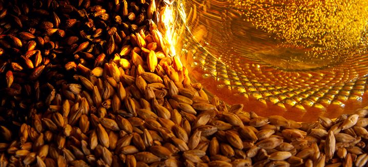 There’s no flour in the #supermarkets, yet #breweries provide a surprising (#healthy &amp; #sustainable) solution. #NYC-based <a href="/RISEproductsco/">RISE Products</a> upcycles brewer’s spent grain to create "super-flour" (with 1/3 less carbohydrate, 2x more protein and 12x more fibre) bit.ly/2z38y4B