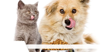 Detailed coverage of #PetFood industry and main market trends. 
Read at- bit.ly/3ehu7OO

Get report sample at- bit.ly/34BSkuX

<a href="/IAMS/">IAMS US</a> <a href="/NUTROBrand/">NUTRO Pet Food</a> <a href="/Purina/">Purina</a> @HartzPets <a href="/DelMonte/">Del Monte</a> <a href="/bluebuffalo/">blue buffalo</a>