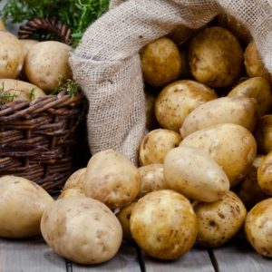 ClicknPlantza's tweet photo. 🍋 Grow your own herbs and vegies....🍋 - https://t.co/B2AlhOlN3l

#onlineshopping
#gardens
#edibleplants
#growtoeat
#herbs
#potato
#tomatoes
#teachingkids
#homeschool
#coronavirus
#lockdown
#southafrica
#outdoorplants
#indoorplants
#fruittrees
#freshproduce
#organicliving https://t.co/Xn7MGGJ4N3
