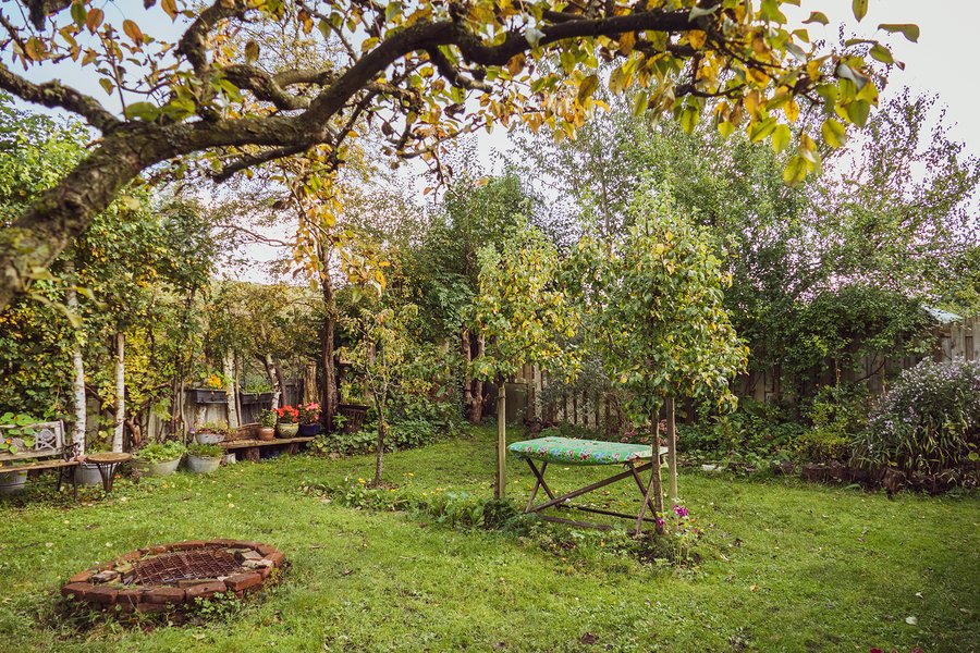 ChickenSoup4theSoul tweet media