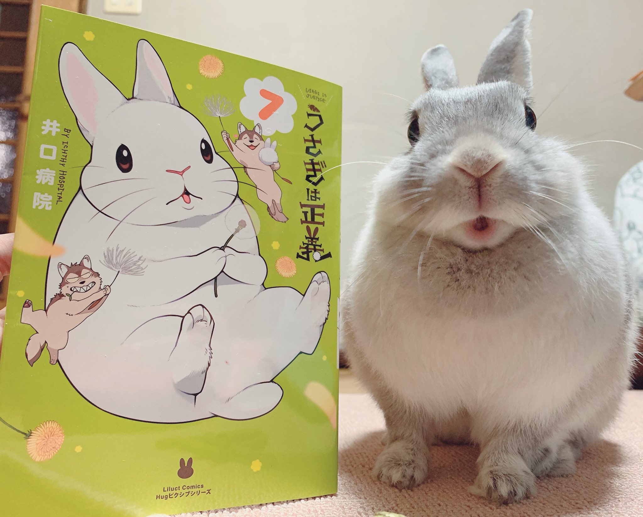 Twitter এ 井口病院 うさぎは正義7巻4月15日発売です 時期的に本屋さんに行くのは難しいと思いますが ネットでも買えますので皆さま宜しくお願いします T Co Ueegdblc4b ট ইট র Twitter এ 井口病院 うさぎは正義7巻4月15日発売です 時期的に本屋さんに行くのは難しいと思いますが ネットでも買えますので皆さま宜しくお願いします T Co Ueegdblc4b ট ইট র