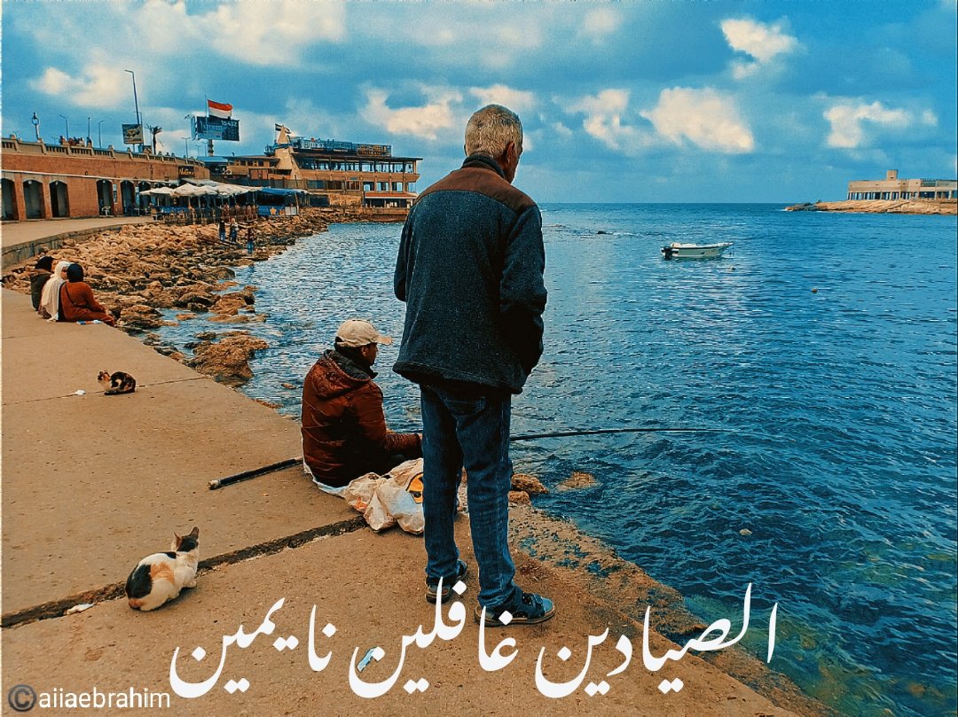 𝐀iia 🇵🇸 tweet media