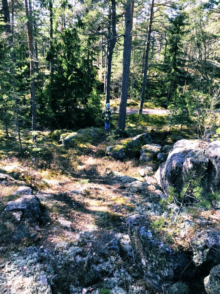 KoivurantaT's tweet photo. Day 1/7. My life in pictures. No words, no people. Nominate someone new every day. I was nominated by @MaijaVilpanen 😊 I nominate @TammiTero https://t.co/RiPVdmSLHO
