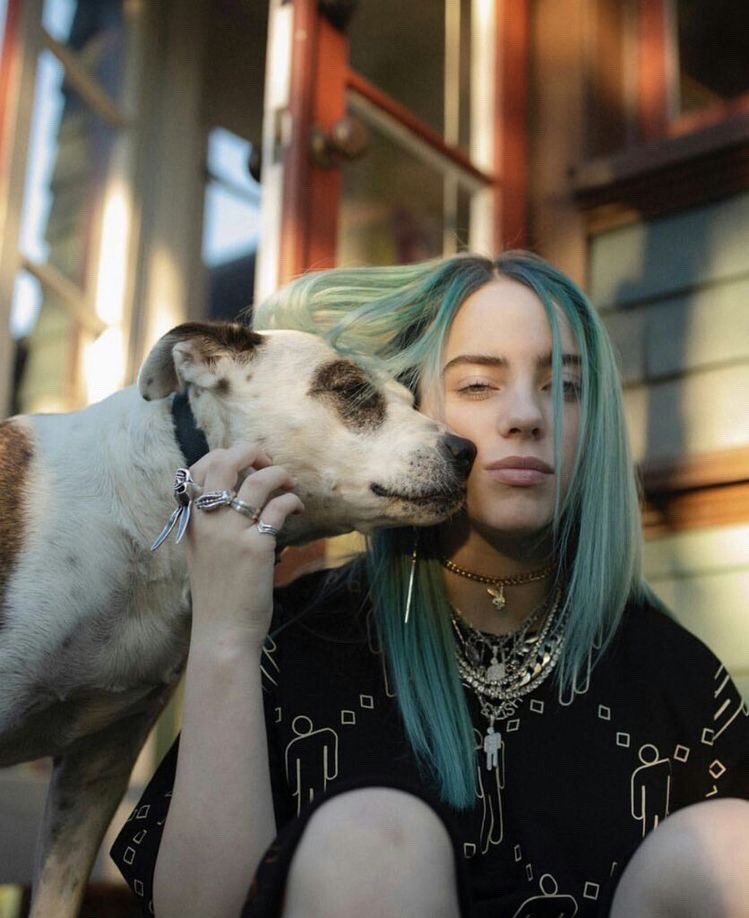 billie eilish with dogs; a thread