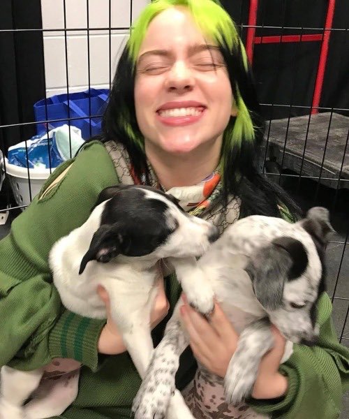 billie eilish with dogs; a thread