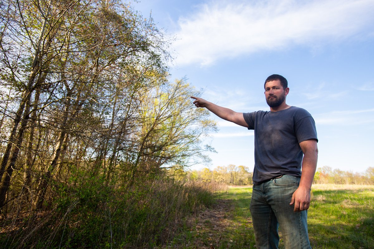 /4Terry didn't mess with the cameras, and a few days later they were gone. He knew they had been placed by a local game warden because he is far from the only landowner in the area to find cameras. Hunter Hollingsworth points to the tree where he found a camera on his farm.