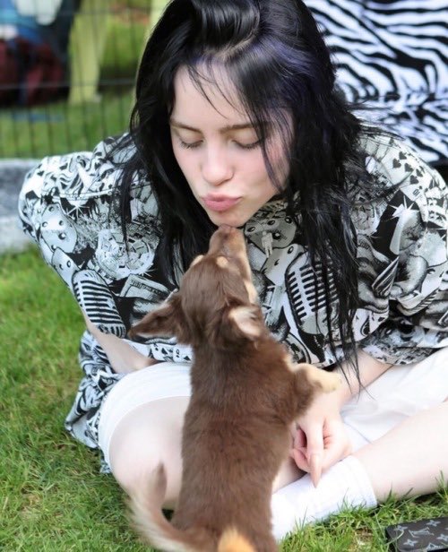 billie eilish with dogs; a thread