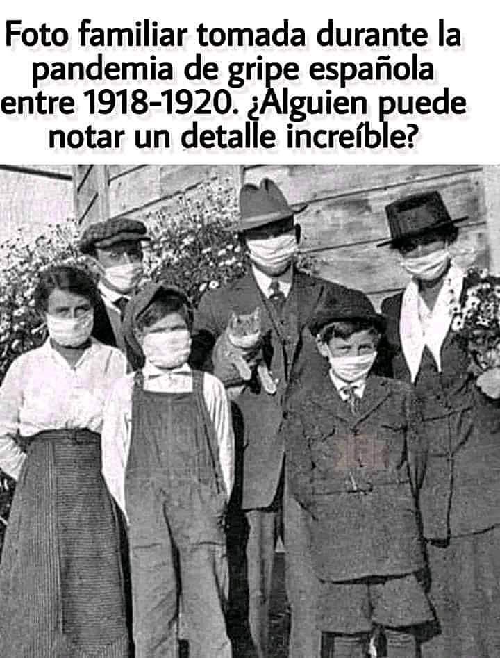 mariskalrock tweet media