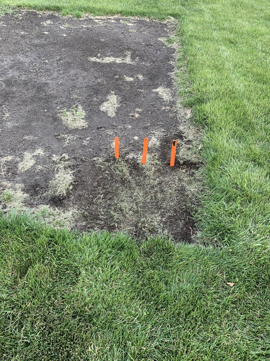 MNelson_ISU's tweet image. We planted corn yesterday! 

... in my garden. 

For the next 7 days, I’ll be planting 3 different hybrids with fast, moderate, and slower emergence scores and tracking soil temperature, air temperature, and emergence to demonstrate planting in cold, wet soils. #BackyardScience