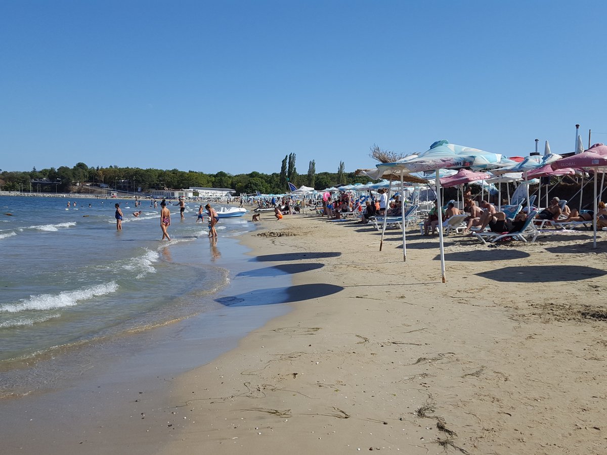 Bulgarian Charm tweet media