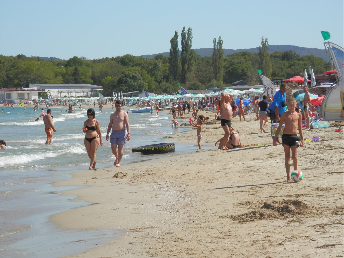 Bulgarian Charm tweet media