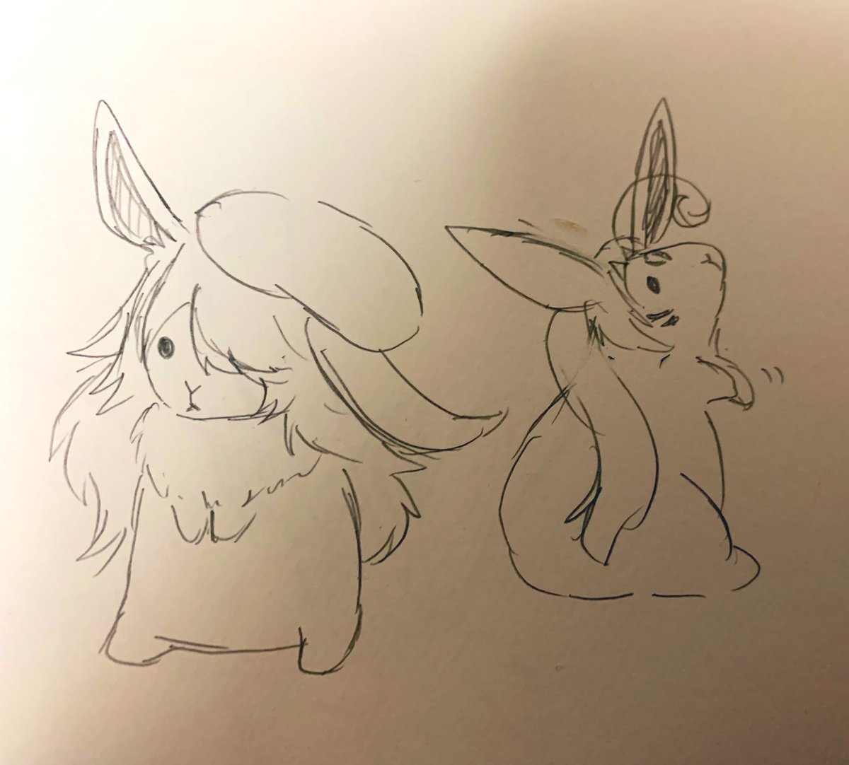 shimato_TK's tweet photo. 逆バニー、最初こういう事かと思ってました。逆でもなんでもねえな https://t.co/oNB6EQQ21s
