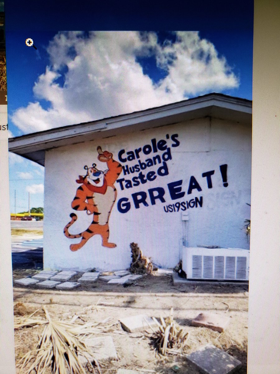 c0ldazic3's tweet photo. Good morning all you cool cats &amp; kittens https://t.co/7GZ9XPfAYQ