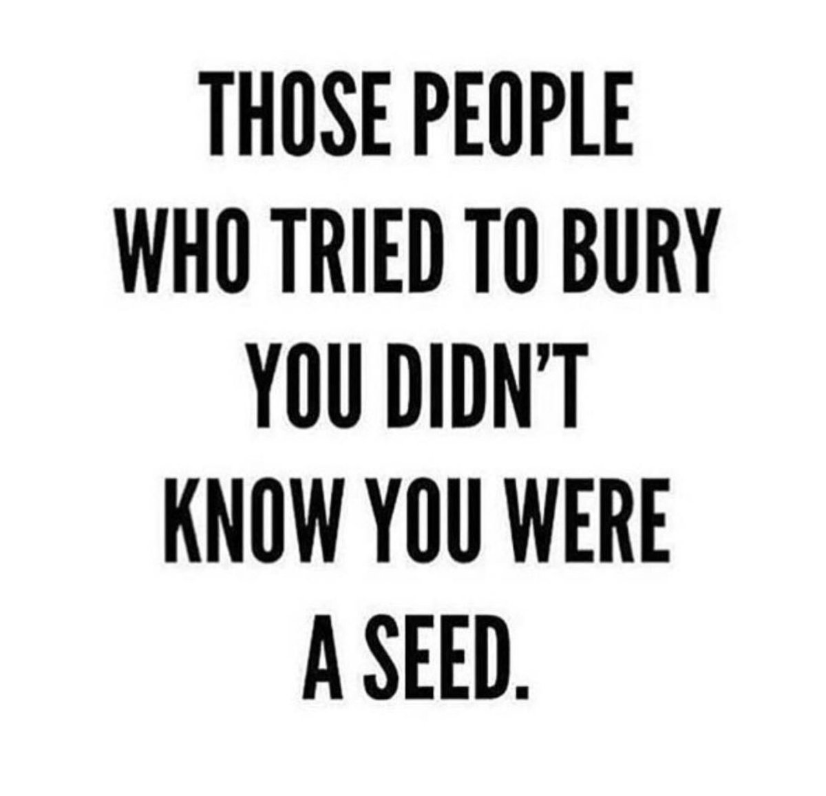 Midelcozza's tweet photo. Keep on sprouting 🌱 https://t.co/dPg6dTwhpk