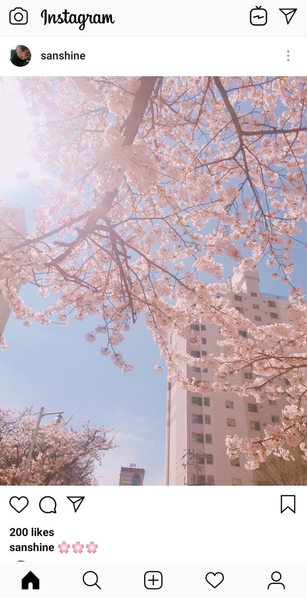 🌸
