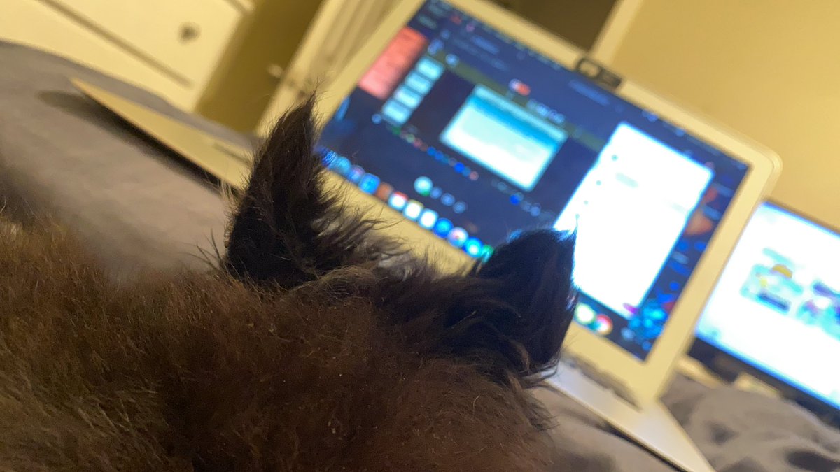 EmmaMatthey's tweet photo. Mo loves doing online classes! I’m still on the fence... #READ3400 #GGCSOE https://t.co/RMGxjDwFCE