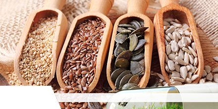 Global #OrganicSeeds Market Analysis 2015-2019 and Forecast 2020-2025
Read at- bit.ly/3efLIXv

Get report sample at- bit.ly/2V8KTIh

<a href="/TerritorialSeed/">Territorial Seed Company</a> <a href="/highmowingseeds/">High Mowing Organic Seeds</a> <a href="/JohnnySeeds/">Johnny's Seeds</a> <a href="/NavdanyaInt/">Navdanya International</a> <a href="/Seedsaversx/">Seed Savers Exchange</a> <a href="/Fleurenfruit/">Han Fleuren</a> <a href="/SeedsofChange/">Seeds of Change</a>
#VegetableSeeds #FruitsSeed