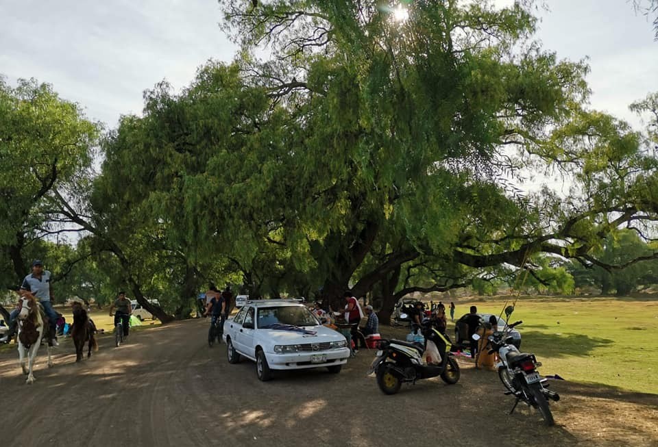zonaceroedomex's tweet photo. #ZCN | ⚠️🚫 Ante el cierre de espacios como el Lago de los Lirios y el Parque de las Esculturas, los izcallenses han encontrado en la Laguna de Axotlán un espacio para pasar el fin de semana durante esta contingencia. https://t.co/3s66o6Ox4K