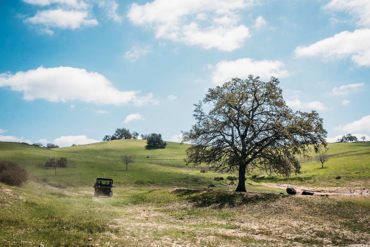 Nice to see some sunshine!  Storms never last, keep driving!!!⁠
⁠
#C4Foundation #C4Ranch #SpringTime #StormsNeverLast #StayTheCourse #LLTB #ChuckHeavy #CKIV #AlohaWarrior