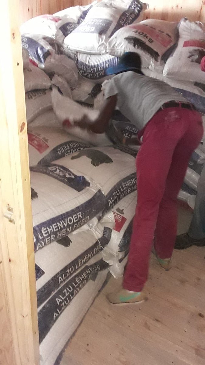 MIT_ORG's tweet photo. The @MDA_2017 donated and installed 2 X 5000L Jojo tanks plus 160 bags of chicken feed to the Sidlasonke Agriculture Primary Cooperative in Rietspruit, Ogies. This is for survival during the lockdown period. #MDASiyaphambili #MITCares
#CoronaVirusInSA #LockdownSA https://t.co/kSoIzKDFLr