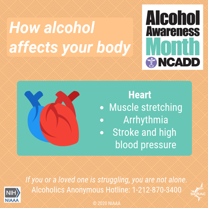 SERAC_CT's tweet photo. Did you know alcohol can hurt your heart? #alcoholawarenessmonth #effectsofalcohol #alcoholrecovery #reachout @NIAAAnews @NIH @FacingAddiction https://t.co/dYt8gJ7ijv