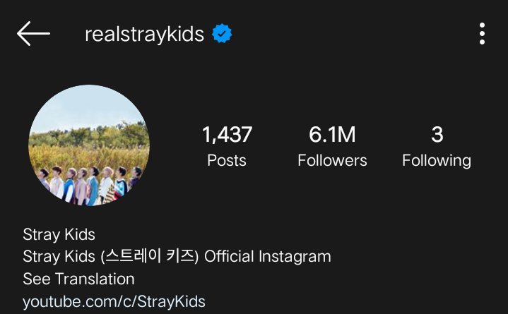 a mini thread of what it looks like when stray kids have their own instagram account. #StrayKids  #스트레이키즈