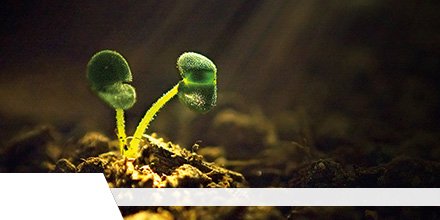 The size, recent trends and development status of the #AgriculturalMicrobials Market
Read at- bit.ly/3el409M

Get report sample at- bit.ly/2wDcNmm

<a href="/corteva/">Corteva Agriscience</a> <a href="/GSFCIndia/">Gujarat State Fertilizers & Chemicals Ltd.</a> <a href="/Koppert/">Koppert</a> <a href="/Novozymes/">Novozymes</a> <a href="/Syngenta/">Syngenta</a> <a href="/Bayer4Crops/">Bayer | Crop Science</a> 

#Bacterial #FungalMicrobials #CompositMicrobials