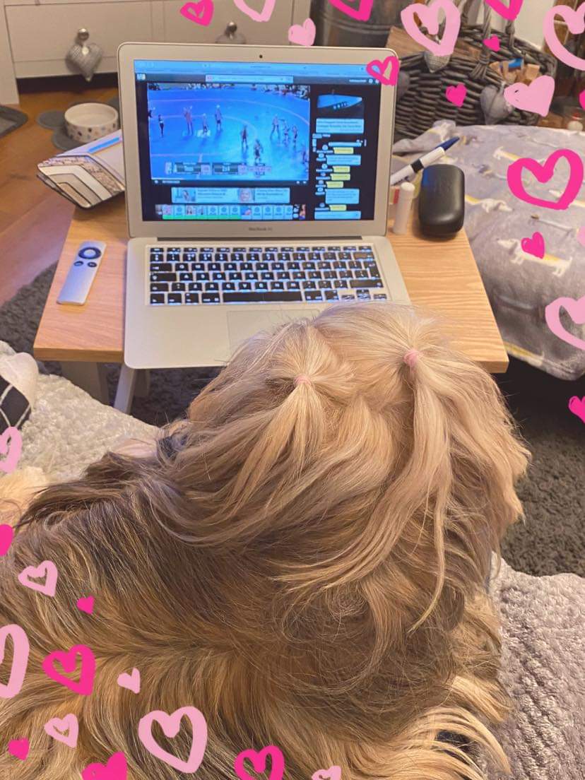 HelginRD's tweet photo. Team Mascot, Alba, training her derby brain hard last night. Rumour has it she enjoyed the whistle demonstrations best, and has ambitions to be an Official 💙🐶 https://t.co/uJWNzwzf4j