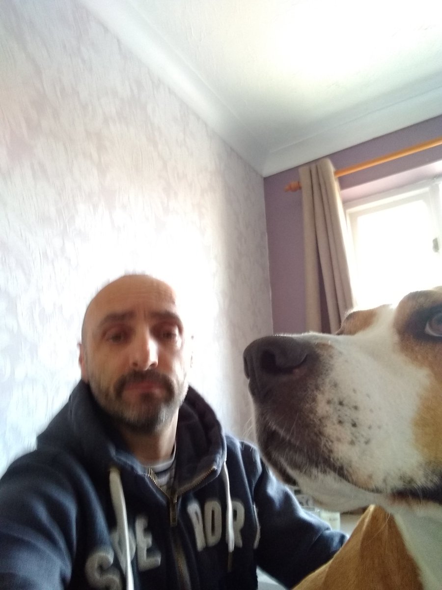 TheLoff's tweet image. Every single time I try and talk to someone via video link. Bella big head decides she wants to try and be on camera. So far I&apos;ve managed to keep her off camera except last call her head was in shot. #academicswithdogs #notprofessional #Bellathedog