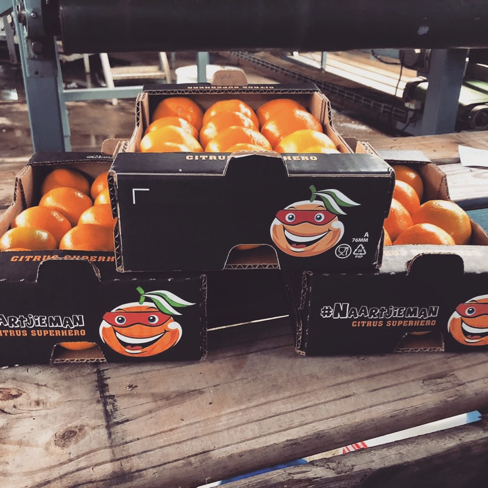 Joe Raspel tweet media