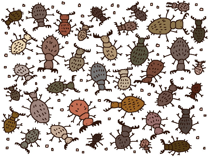 Mossworm1's tweet photo. antlions...always I think of u...
#entom
#mossworm https://t.co/lXs9StakSn