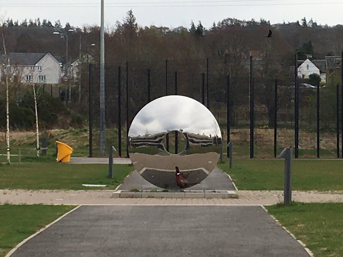 Claire McGonigal tweet media