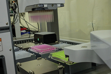 SNE_ChemBio's tweet photo. COVID-19 related research
๐Discover how the @ACCESS_Unige facility @sciences_UNIGE can help you!
โช๏ธ Image-based high-content screening (HCS) โช๏ธ
โช๏ธ High-throughput screening (HTS) โช๏ธ
๐https://t.co/3Tzeh2hLXU
#accelerateresearch #coronavirus #covid19 https://t.co/P0Izkm47rH