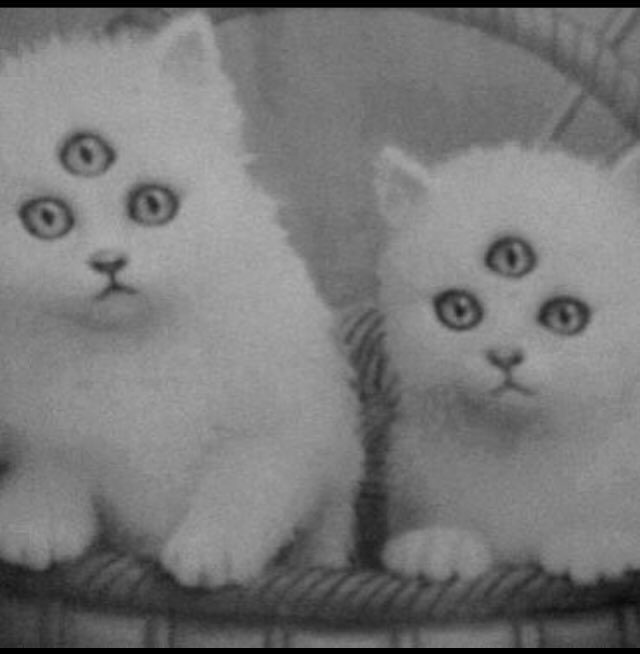 jonny negative tweet media