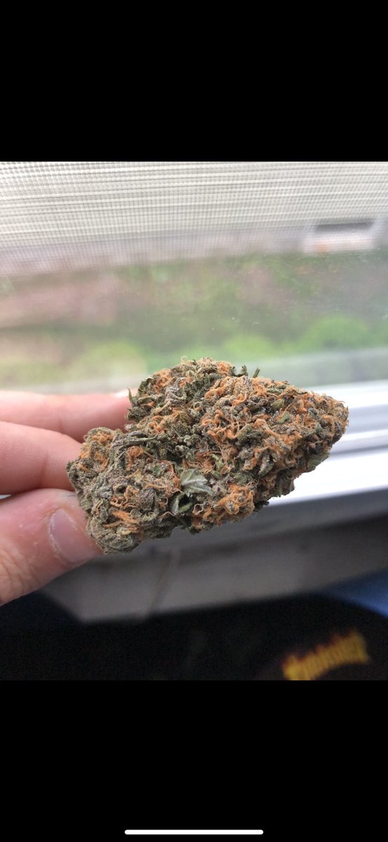 kendahllp's tweet photo. chem dawg @the420tube https://t.co/oyj9JtlUac