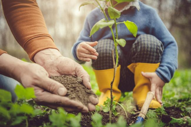 20 mins of being in your garden can improve your mood … get gardening!
