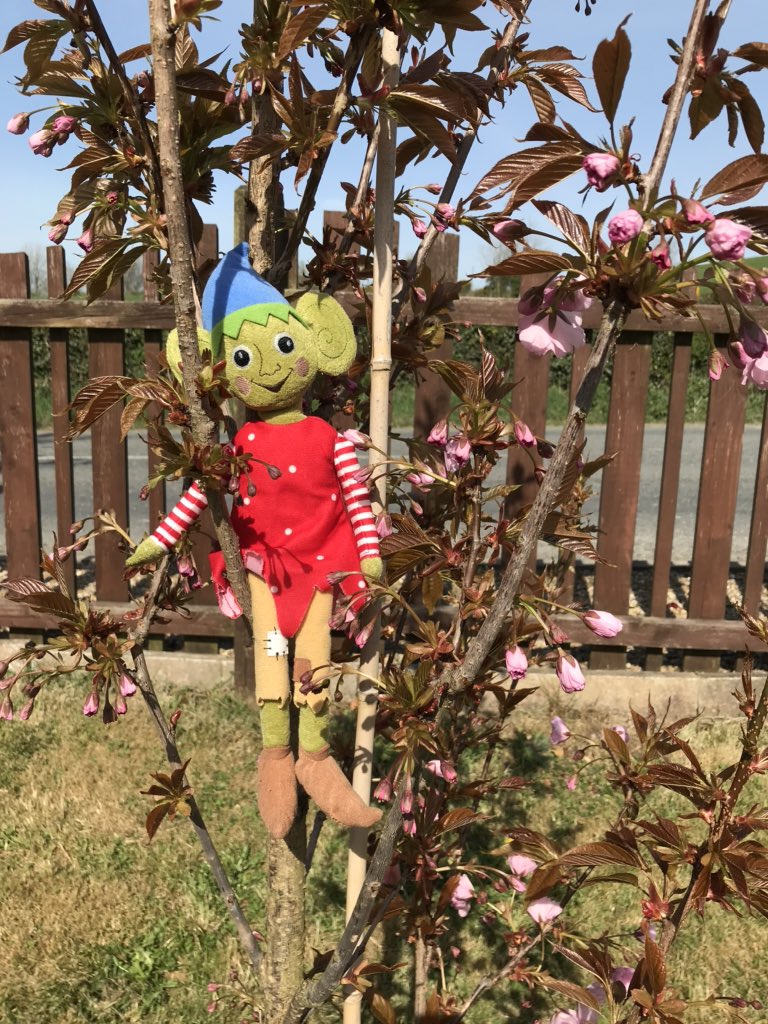 LittlePalmsFS's tweet image. Little Palms checks out what she can see. She spies a ladybird #SpringWatch