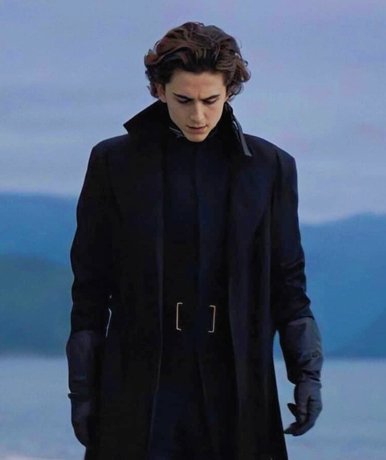 we are so lucky to live in the same era as timothée chalamet