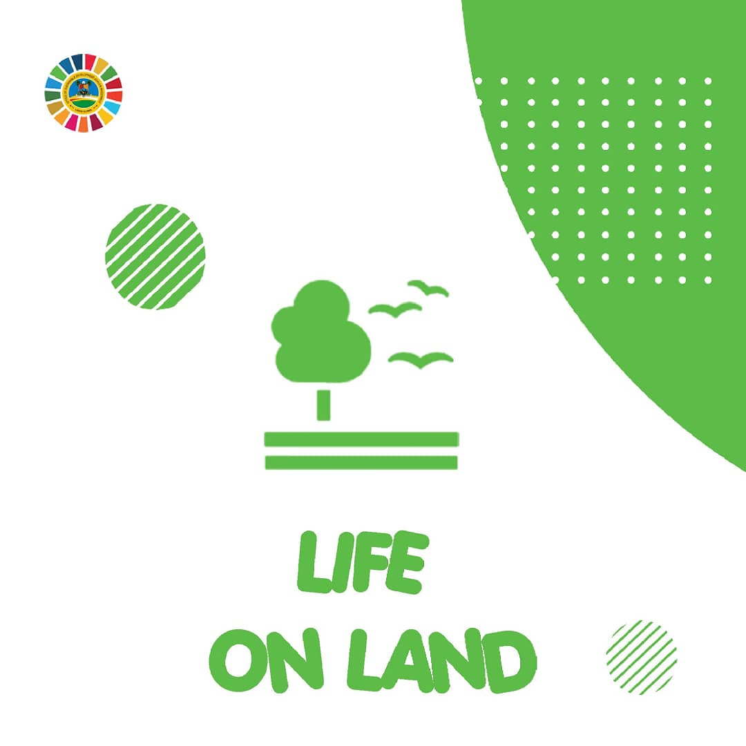 LagosSDGInvest's tweet photo. Goal 15: Sustainably manage forests, combat desertification, halt and reverse land degradation, halt biodiversity loss.

#desertification
#lifeonland
#Goal15
#partnershipforthegoal
#sdgoals https://t.co/d49nhL1Z2e