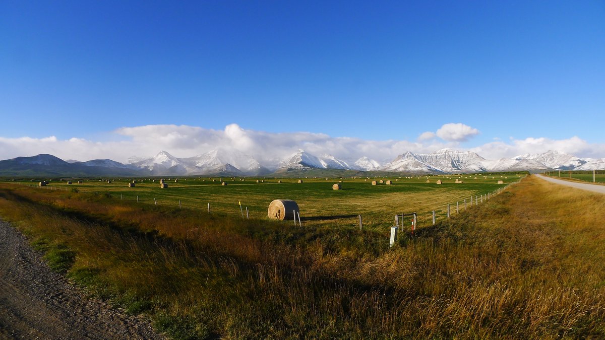 Each year Y2Y funds local community work so that wildlife &amp; people can thrive. This year we’re excited that <a href="/Y2Y_Initiative/">Yellowstone to Yukon Conservation Initiative</a> is helping fund our work to lessen the impacts of large carnivores on producers through our Carnivores and Communities Program.

📷 Ted Loosen