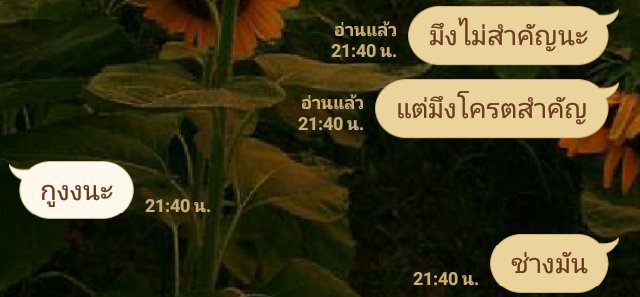 ทานตะวันของกู🌻♡ ¦ จีบแม่งอยู่ ¦ tweet media
