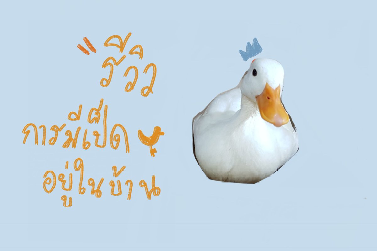 โมโมต๊ะ tweet media