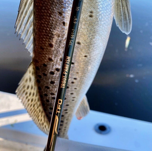TFO Rods on X: (Speckled) Trout-Panfish rod 💪 These ultralight