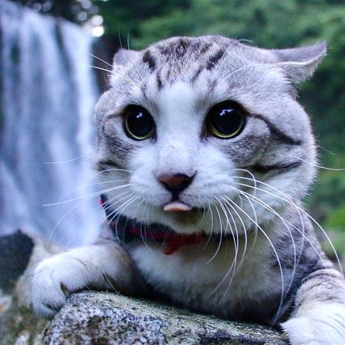 CeConecte's tweet image. - Como eu fico depois daquela conversa do que faremos depois da quarentena.