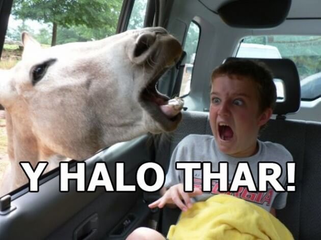 Don't worry!! 

There are no unexpected surprises with our interest free credit! 

#InterestFree #ArcEquine #SmallWonder #ZeroInterest #Surprise #Equine 

Image credit: ow.ly/Tbpi50zdpOr