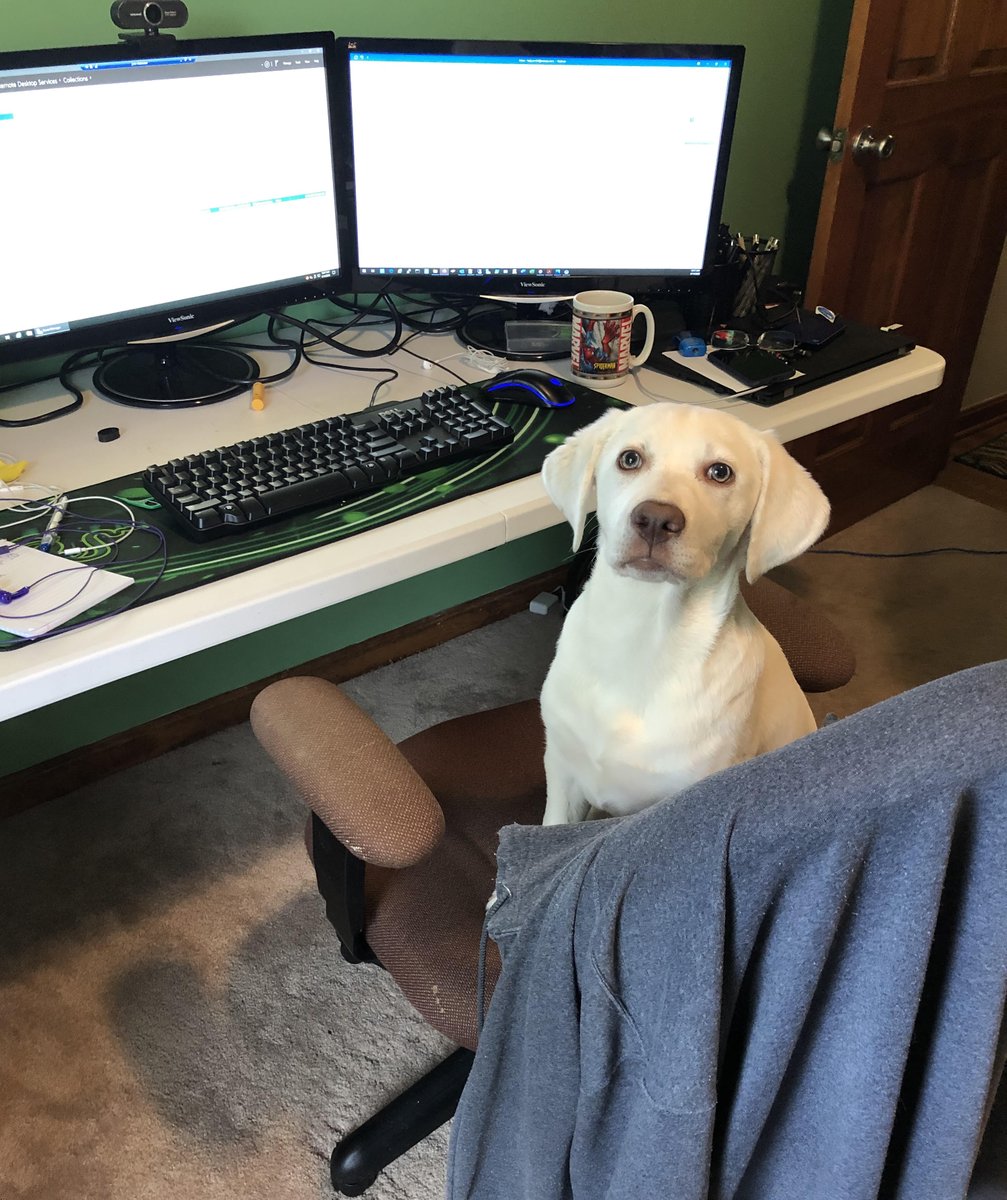 JNMCPA's tweet photo. Our IT department is up an full time employee.  She's learning the ropes and helping to keep our team moving forward.  
Great job!! https://t.co/psWzXz2drv