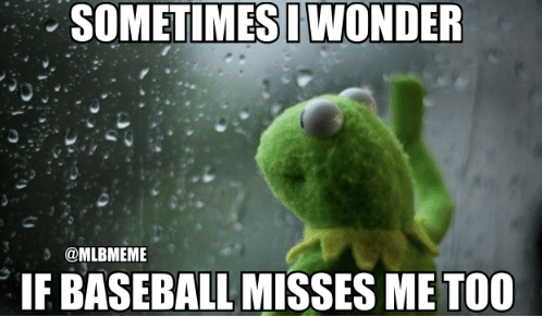 Cause we defiantly miss you, baseball! Especially today! #IowaCubs